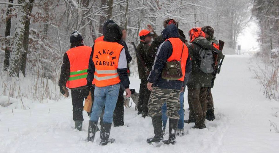 Działacze organizacji „Śląsk przeciw myśliwym” uniemożliwili myśliwym polowanie na dziki Foto: „Śląsk przeciw myśliwym” Obrońcy zwierząt nie dopuścili do polowań na dziki na Śląsku