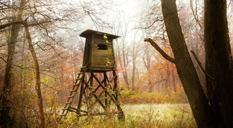 fot. Shutterstock Zakaz strzelania do ciężarnych loch?