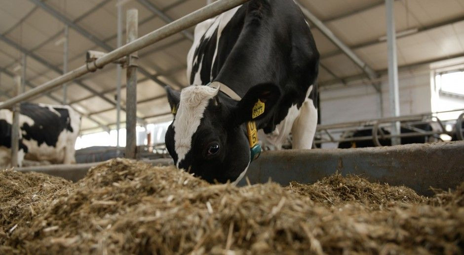 fot. farmer.pl Wielu producentów żywności widzi tylko interes swojej branży