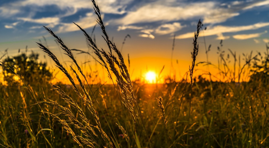 fot. Pixabay Komisja Europejska proponuje mniejsze obniżki przejściowych stawek ONW