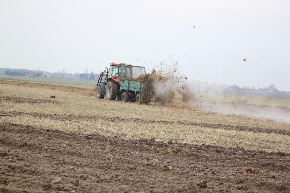 Obornik trzeba zmieszać z glebą w ciągu 12 godzin od aplikacji, fot. farmer.pl