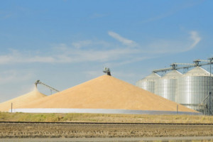 Rosja: Statystyki potwierdzają znaczący spadek produkcji zbóż w 2018 r.