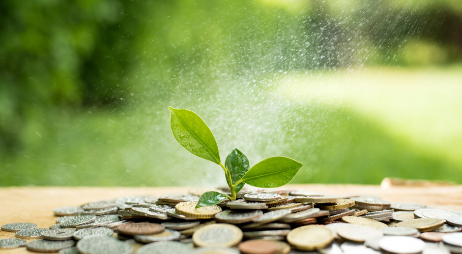 fot. Shutterstock Wydatki na rolnictwo w 2019 r. będą realnie niższe o 4,91 proc. niż w 2018 r.