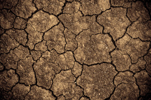 Dlaczego gleba ma kwaśny odczyn?