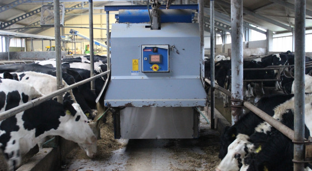 O automatyzacji w hodowli bydła na Konferencji Farmera "Nowoczesna produkcja mleka"