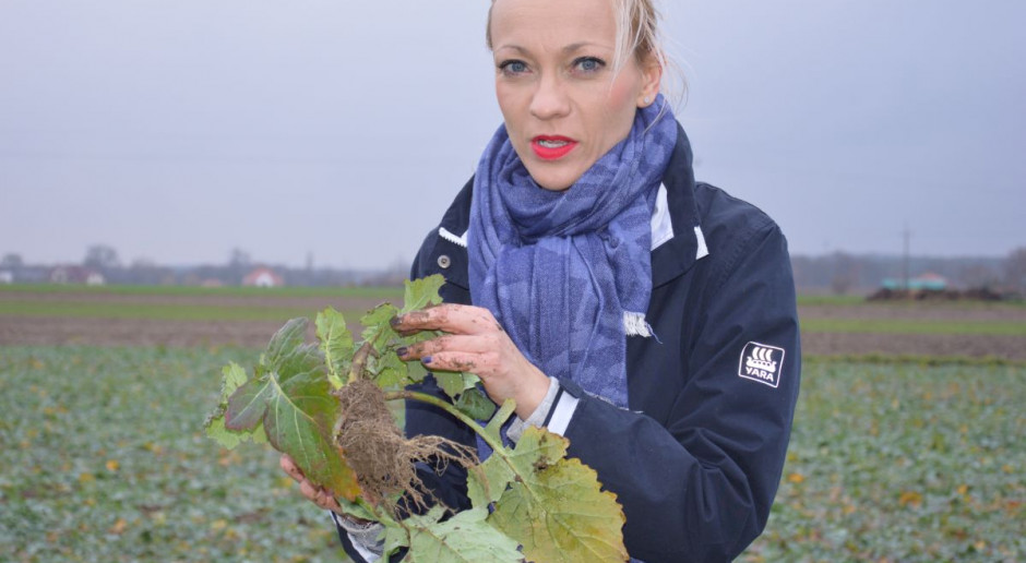 Dr Karolina Frąckowiak z firmy Yara; Fot. Katarzyna Szulc Wczesnowiosenne nawożenie rzepaku – radzi specjalista z Yara