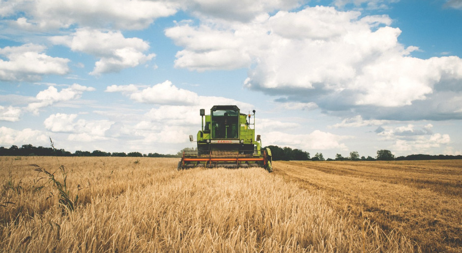 Fot.pixabay.com USDA: Wzrost prognozy światowej produkcji pszenicy i zbóż paszowych