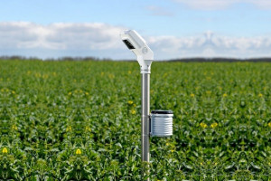 Palik Bosch Field sensor monitoruje na bieżąco stan pola