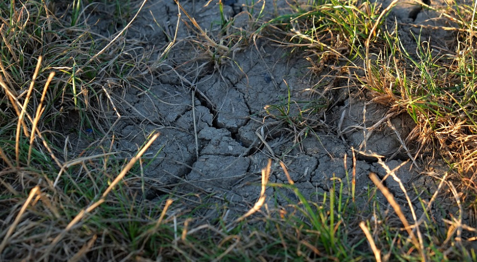 fot. Pixabay Susza według nowych wartości klimatycznego bilansu wodnego