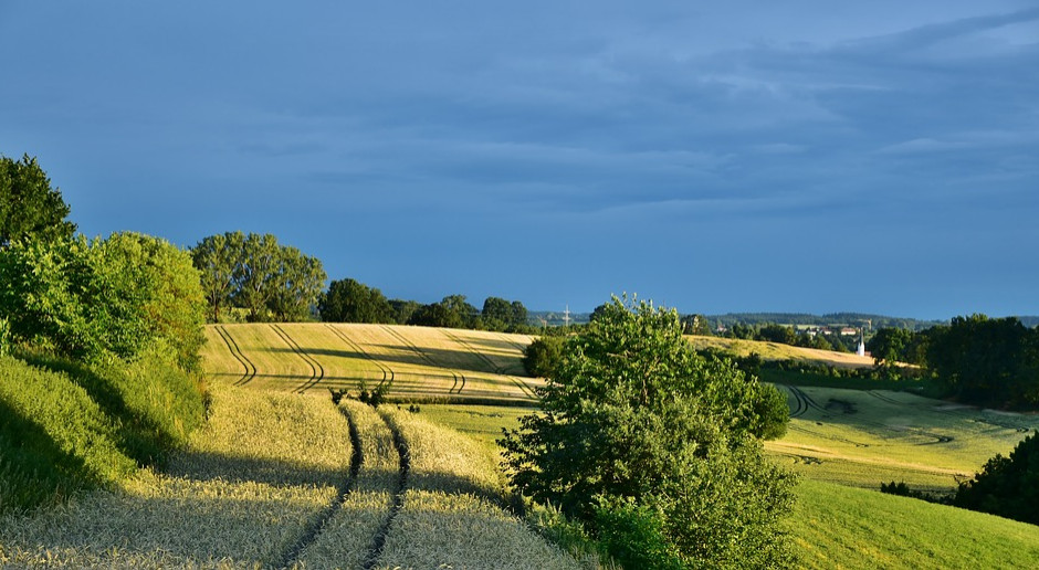 fot. Pixabay Zmiany w wyznaczaniu ONW możliwe po 2020 roku