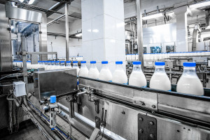 Mleko surowe w skupie w Polsce najdroższe od roku