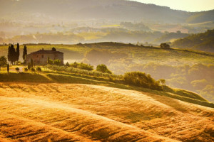 Włochy: Mafia coraz silniej wchodzi w rolnictwo
