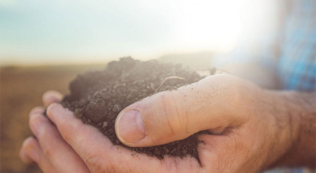 Podnieść żyzność - mikroorganizmy glebowe 