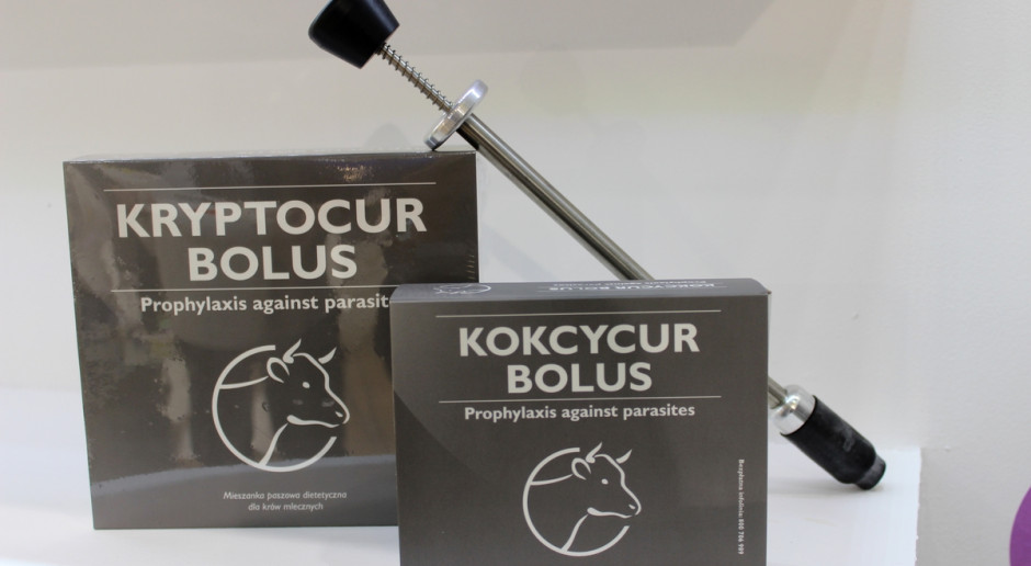Bolus jest wygodną formą podawania bydłu specjalistycznych suplementów, fot. Ł.Ch. Bolusy do zwalczania biegunek