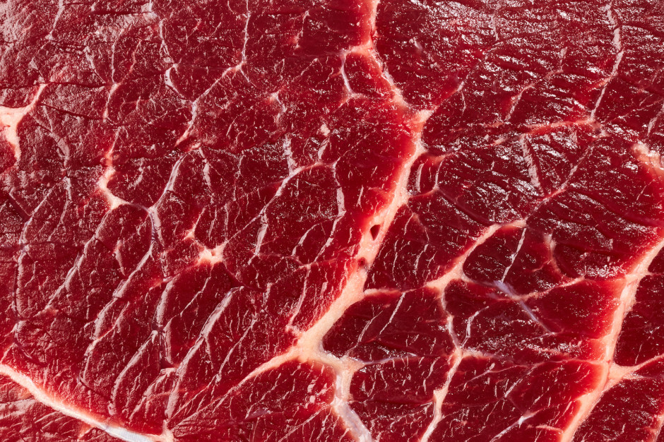 W całym roku 2020 USDA spodziewa się umiarkowanego spadku produkcji wołowiny o 0,5 proc. do 12,26 mln ton; Fot. pixabay.comUSA