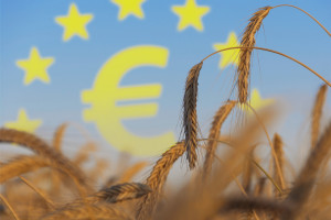 Kraje UE przyjęły stanowisko ws. reformy Wspólnej Polityki Rolnej