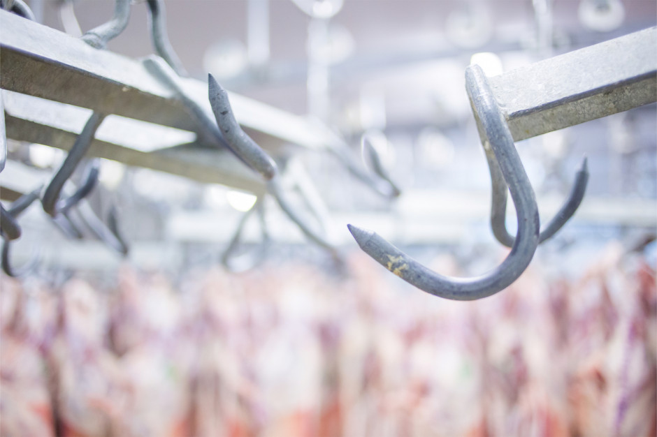 Niemieccy politycy domagają się surowszych zasad dla zakładów mięsnych, fot. Shutterstock