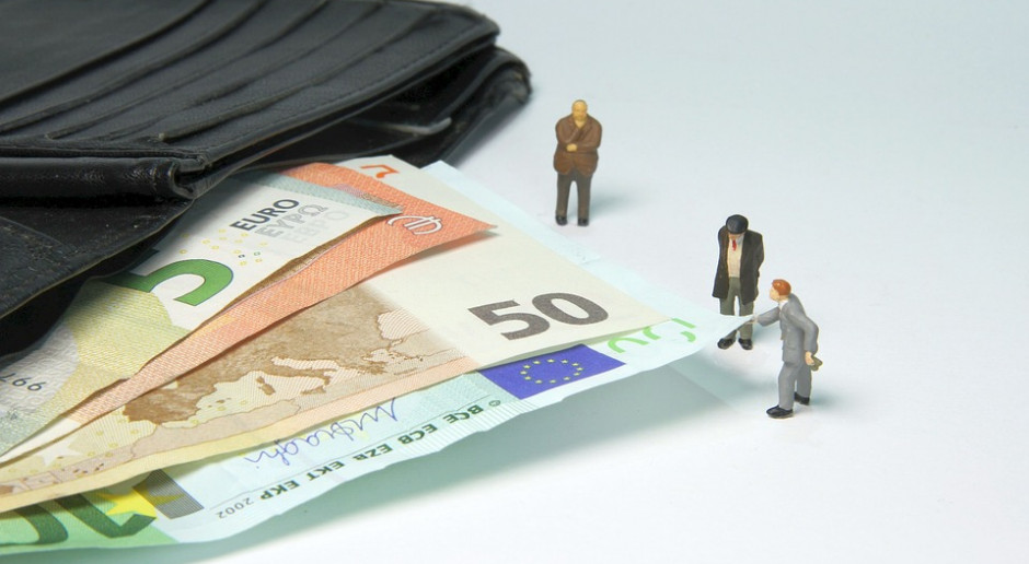 fot. Pixabay 1500 euro za dwuletni program doradczy z PROW