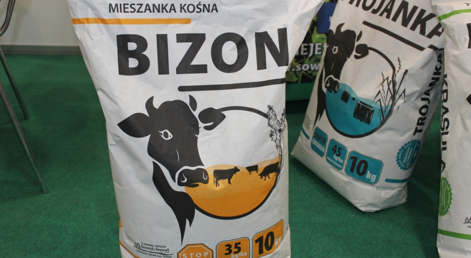 Przy wyborze mieszanki traw pastewnych trzeba uwzględnić powtarzające się w ostatnich latach susze, fot. Ł.Ch. Mieszanka „Bizon” – na trudne warunki