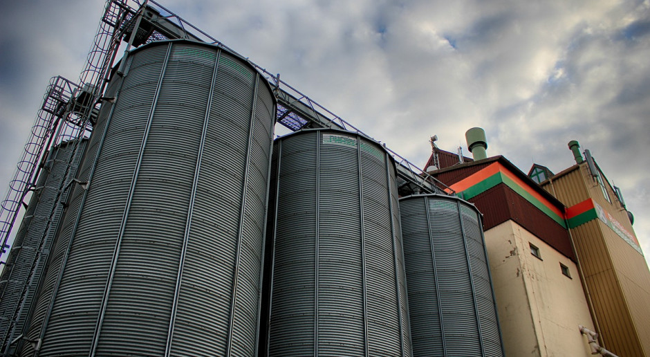 Fot.pixabay.com Niemcy: Prognoza zbiorów zbóż i rzepaku w 2019 r.