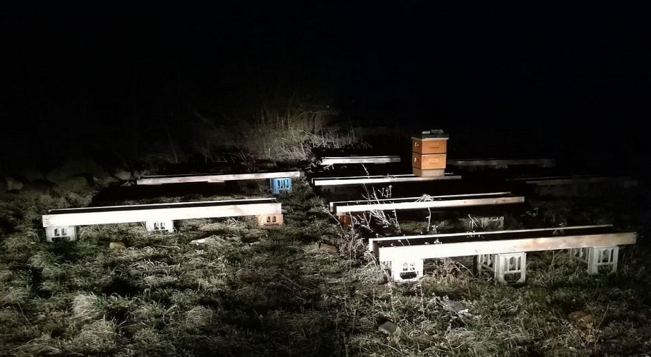 Na zdjęciu jeden z odzyskanych uli, fot. Policja Chcieli założyć pasiekę z cudzych uli - ukradli ich aż 33