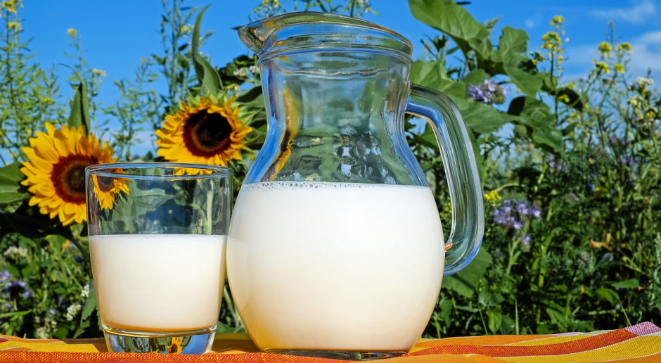 Fot.pixabay.com Niemiecka produkcja ekologicznego mleka znacznie wzrosła w 2018 r.