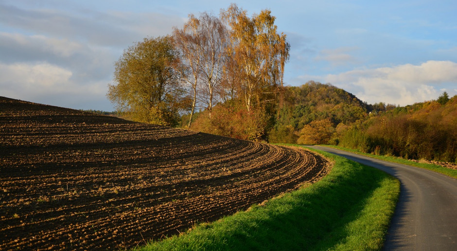 Fot. pixabay.com FAO: Najwięcej gruntów ornych na mieszkańca ma Rosja