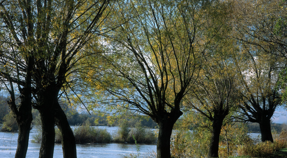 Lubelszczyzna, fot. Shutterstock Lubelskie: 142,5 mln zł dotacji na rewitalizację obszarów wiejskich