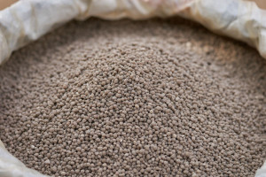 Nadmiar nawozów fosforowych szkodzi mikroorganizmom glebowym