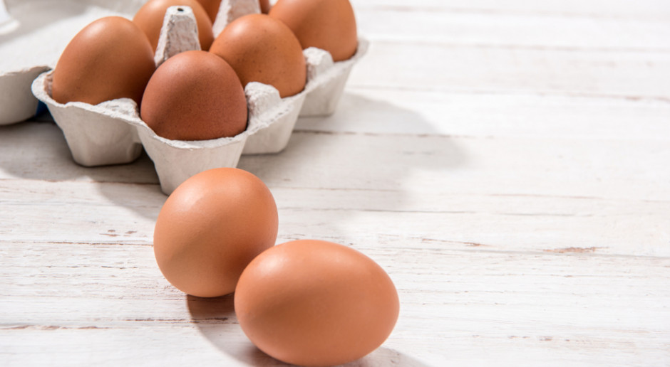 fot. Shutterstock Na rynkach światowych zaczyna brakować jaj. Skorzystają polscy producenci?