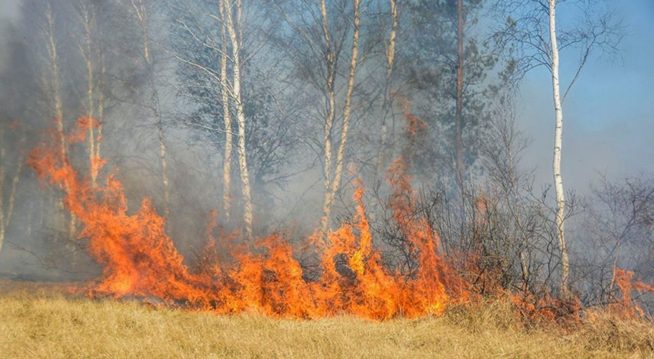 Wypalanie traw co roku pociaga za soba ofiary śmiertelne Foto: Straz Pożarna W pożarze traw zginął starszy mężczyzna