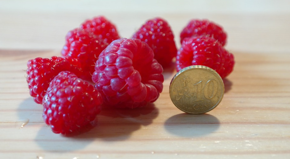 fot. Pixabay Holding spożywczy coraz bliżej?
