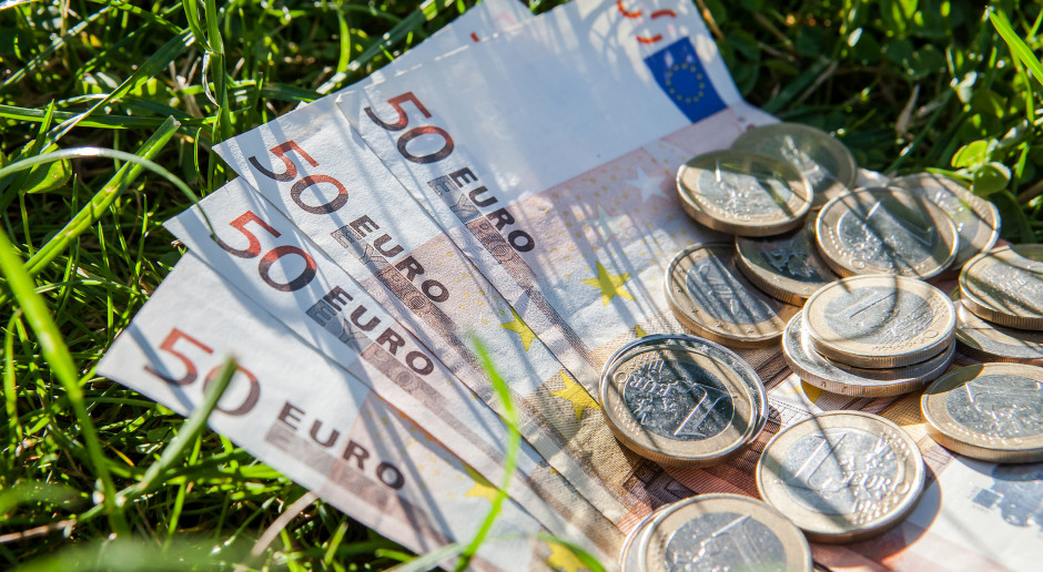 Fot. Shutterstock Po 2020 roku dopłaty będą większe, ale nie równe w całej UE