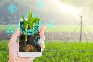 Rolnictwo cyfrowe pozwala na bardziej efektywne i zrównoważone uprawianie roli