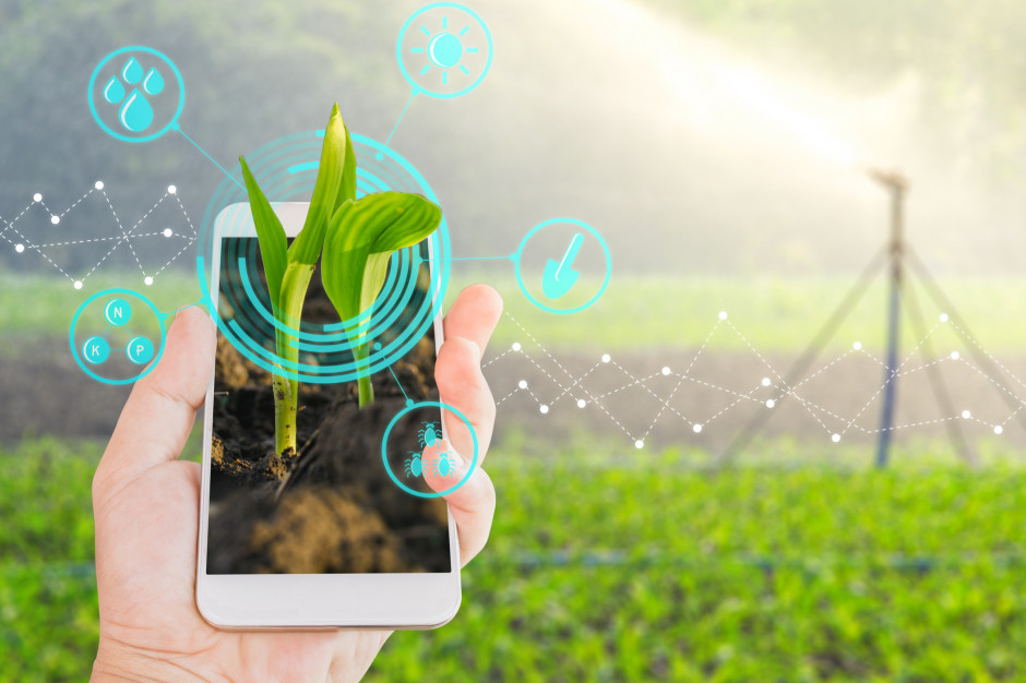 Postęp w rolnictwie wymaga nowych, cyfrowych rozwiązań (fot. Shutterstock).