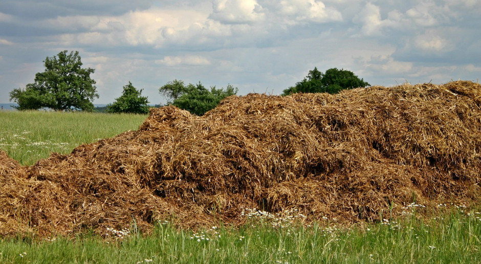 Fot.pixabay.com Niemcy: Żądania zmniejszenia pogłowia zwierząt gospodarskich