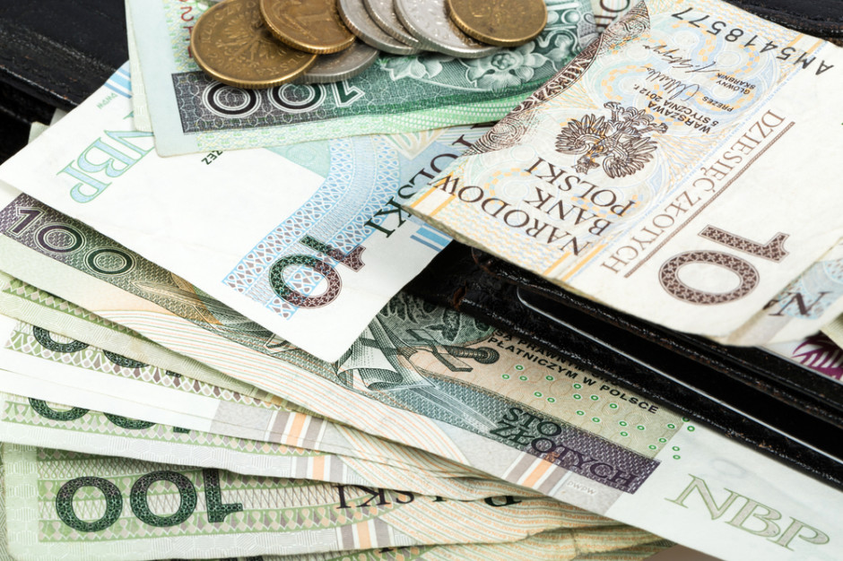 Rybacki zaznaczył, że łączny współczynnik kapitałowy jest w Polsce wyższy niż w strefie euro, fot. Shutterstock