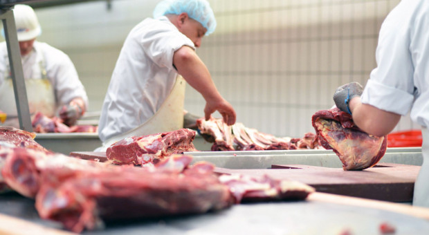 Pośrednictwo, dumpingowe ceny i niewyrównany surowiec, czyli bolączki polskiej branży mięsnej