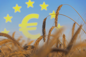 Rząd przyjął projekt założeń dot. finansowania wsi ze środków UE