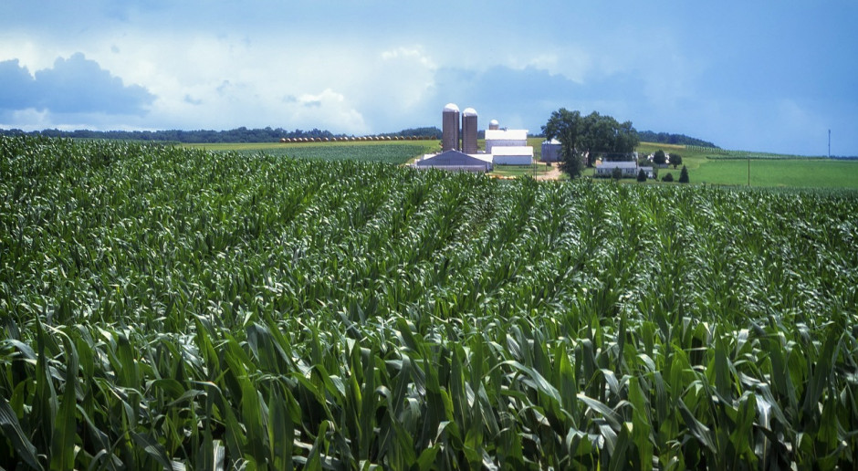 Fot.pixabay.com USDA: Zwalniają zmiany strukturalne w amerykańskim rolnictwie