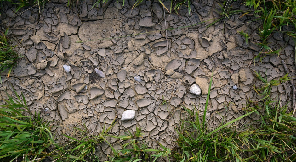 Fot. pixabay.com Szwecja i Dania: Strach przed ponowną suszą