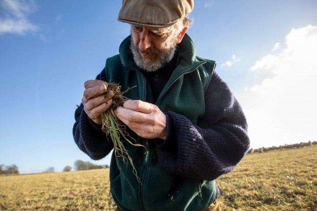 Od ośmiu lat John Cherry gospodaruje w systemie uprawy konserwujące i twierdzi, że jego koszty gwałtownie spadły, podczas gdy plony pozostają wysokie. Fot. David Levene/The Guardian