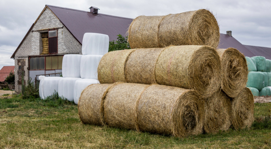 Fot. Shutterstock ARiMR: od końca maja można składać wnioski na pomoc w restrukturyzacji małych gospodarstw