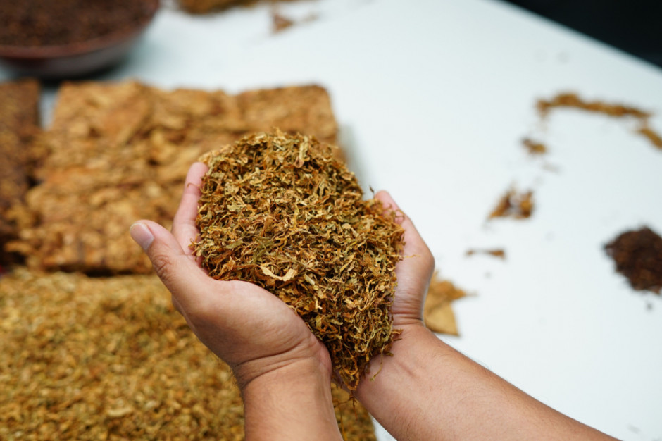 Funkcjonariusze znaleźli prawie dwie tony suszu tytoniowego, fot. Shutterstock