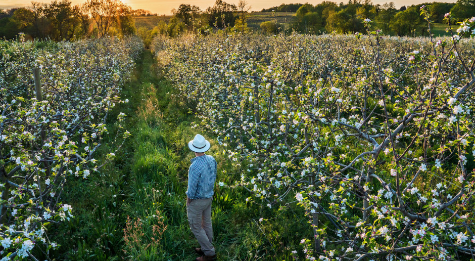 Fot. Shutterstock UOKiK: zarobek rolników jest niewielki w porównaniu do ostatecznej ceny owoców i warzyw