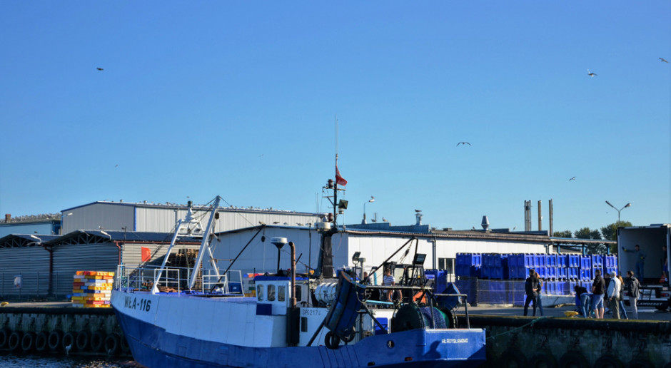 Gróbarczyk: KE zaproponuje wstrzymanie połowów dorsza na Bałtyku na pół roku, ale to nie wystarczy