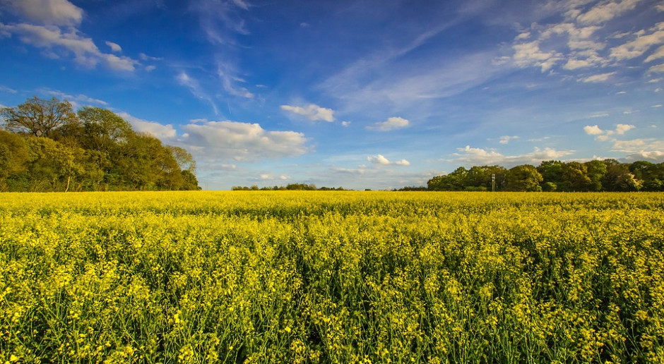 fot. Pixabay Holding spożywczy powstanie na miliardowy kredyt zabezpieczony hipoteką na ZWRSP?