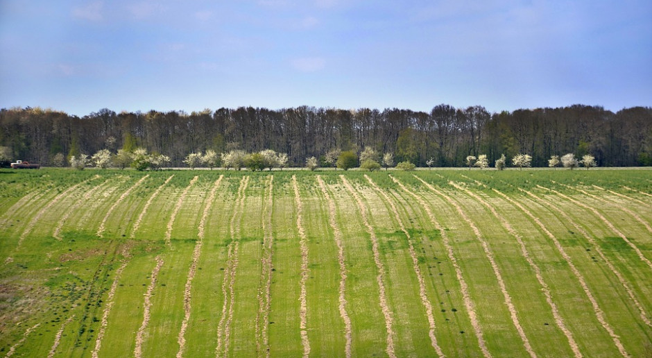 fot. Pixabay „Ośrodki produkcji rolniczej” zastąpią PGR-y?
