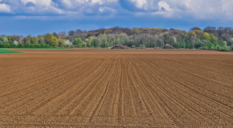 fot. Pixabay Jakie zmiany w zasadach sprzedaży ziemi?