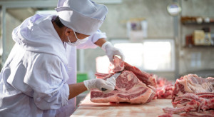 Holendersko-niemiecka grupa mięsna Vion zamknie zakład w Germaringen